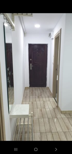 Pantelimon, Delfinului,